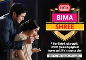 lic bima shree plan
